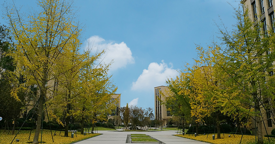 電子科大·國(guó)家大學(xué)科技園